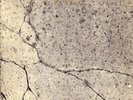 HYSTERICA PASSIO: Grey Over Life 12