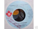 Bottom & Company-Gonna Find a True Love(Motown)pr