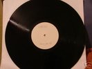 SNAPCASE lookinglasself LP TEST PRESS nyhc/earth crisis
