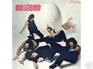 NUCLEUS orig 1969 garage fuzz psych mainstream