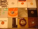 House Electro Progessiv 30 x 12