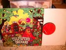 CULPEPPER'S ORCHARD:same  rare Prog/Psych LP  top