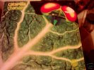 Catapilla Changes UK Vertigo swirl LP #79 of 87