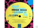 RARE Indian Ocean 12