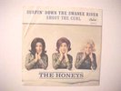 BEACH BOYS HONEYS SWANEE RIVER PICTURE SLEEVE AND 45