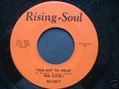 RARE FUNK 45 - U-F-O's (Rising Soul)
