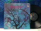 Rare German psych AMON DUUL II - Phallus Dei LP