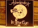 '73 Private Press Folk Psych LP Adamkosky 