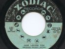 Ruby Andrews-Just Loving You-Northern Soul 45-Hear It
