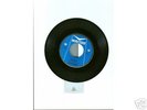 Rare Surf 45- The Cre-Shells- Dracula- Murecord 697
