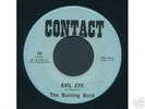 garage psych THE BURNING BUSH -evil eye- LISTEN