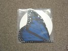 Saves The Day RARE 7''record IM SORRY IM LEAVING emo