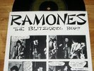 THE RAMONES - UK BLITZKRIEG BOP - PIC SLEEVE PUNK 1976