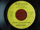 Rare Garage 45  The Ambertones on Rayjack