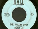 DICKEY LEE 1965 TN GARAGE FOLK PUNK ROCKABILLY POUNDER