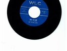 GARAGE-WLC 630-THE ROVING MOB-YOU'R THE ONE(SCARCE OHIO
