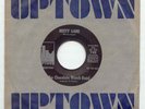 CHOCOLATE WATCHBAND Misty Lane UPTOWN GARAGE PUNK 45