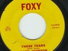 Northern Soul 45 R&B RARE Mary Johnson Foxy These Tears