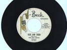 The Bad Seeds Garage 45 J-Beck like Zakary Thaks