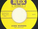 Mac Rebennack (aka Dr John)  45  Storm Warning  Rex  NM
