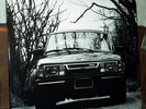 rare SLINT tweez 1st PRESS LP poster  TORTOISE papa m