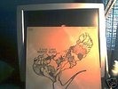 MURPHY BLEND FIRST LOSS GERMAN KUCKUCK PROG PSYCH