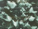 Kate Bush The Single File 7