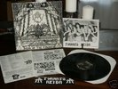 TYRANT'S REIGN YEAR OF THE TYRANT  CYNICAL LP