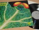 CATAPILLA Changes UK Vertigo Spiral 72 NEAR MINT- ALL