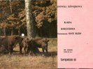 KATE BUSH RARE PLAYABLE POLISH POSTCARD 