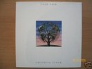 TALK TALK - LAUGHING STOCK