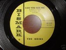 Rare Texas Garage 45  The Briks on Bismark