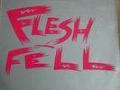 minimal/synth : FLESH & FELL  phenomenal 12