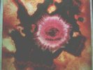 COMBO XINGU  1ST chile lp  