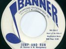 Texas Rocker by Ronnie Dawson, Banner
