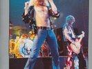 led zeppelin    TRAMPLED  UNDERFOOT