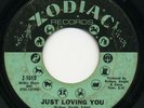Ruby Andrews-Just Loving You-Northern Soul-Hear Clip