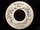Rare Northern Soul 45 THE TEMPOS on DIAMOND JIM