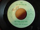 Rare Texas Garage 45  Wally & The Rights on GM Record