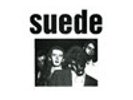 Rare Suede Vinyl - Demos (The Tears)