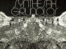 SYNTHESAX Fantastic & Rare Prog Krautrock Private lp