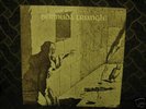 Bermuda Triangle: S/T Super Rare Private Psych LP(1977)