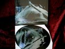 DER BLUTHARSCH - 7