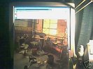 WHALEFEATHERS USA NASCO WAS SEALED PROG PSYCH