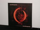 A PERFECT CIRCLE Mer De Noms RARE VINYL LP Tool Nine