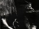 Joy Division Licht und Blinheit Sordide S. SS33002 7