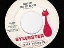 Mark Robinson Lee Halewood Jack Nitzsche 45 Sylvester