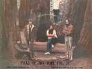 HAWKWIND/ELO/CANNED HEAT Thailand 7