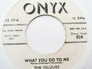 Doo Wop - The VELOURS 