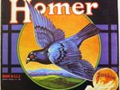 HOMER, GROWN IN THE USA, PSYCH, MELLOTRON
